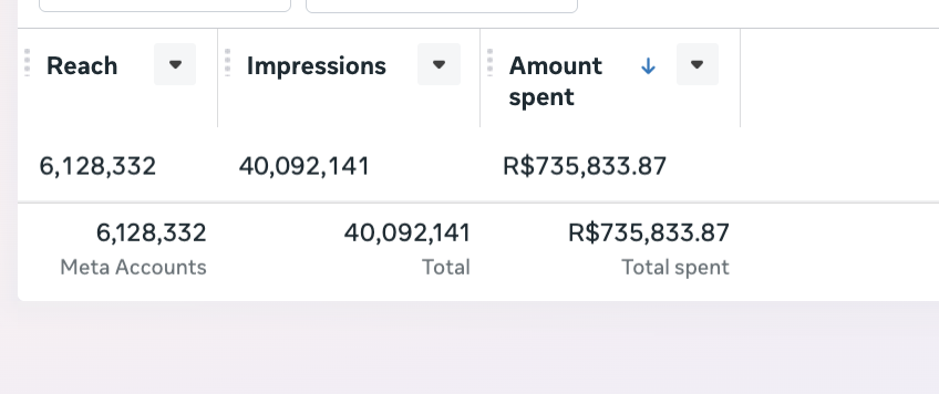 Print Meta Ads: R$735.833,87 investidos em 12 meses gerando consultas pras clientes da agência Reconecta